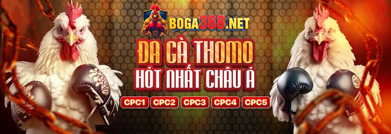 Trải nghiệm tương tác với dealer trực tiếp tại B66 Xổ Số Live Casino